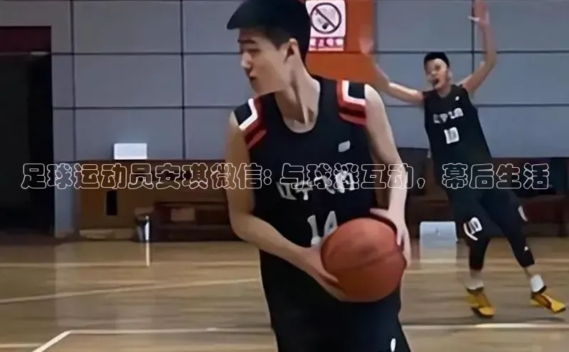 意昂4招商中文在线