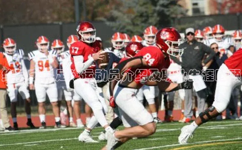 意昂4招商中文在线