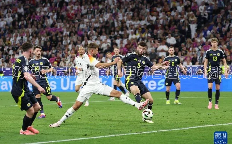 EON4代理百度取证