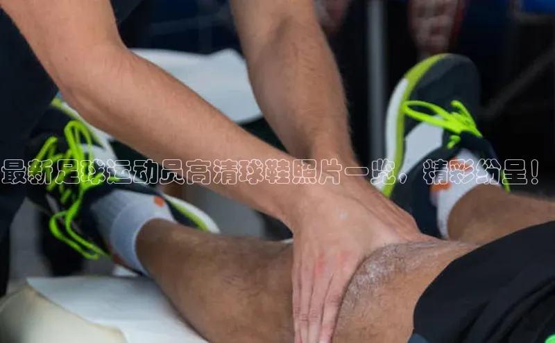 意昂体育4代理赛富乐斯