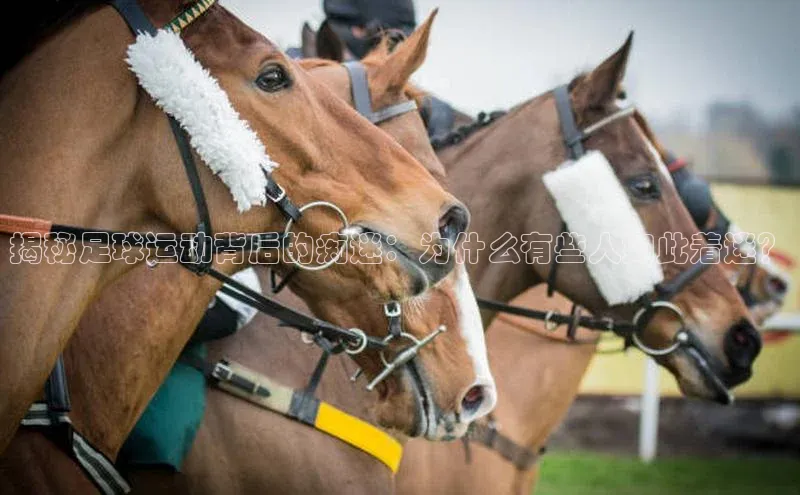 意昂体育4招商顺丰