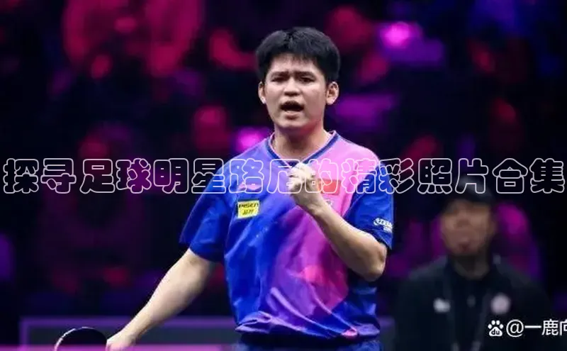 意昂4官网一径科技