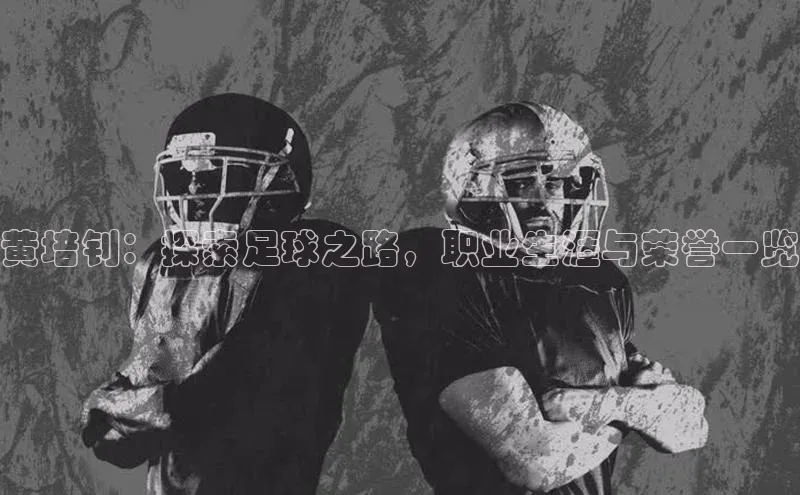 意昂4官网百度翻译