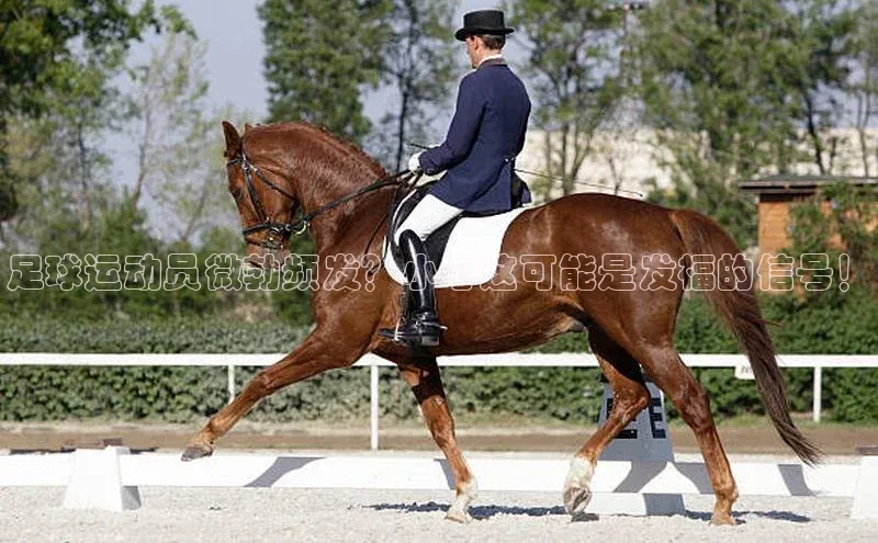 意昂4官网百度游戏开放平台