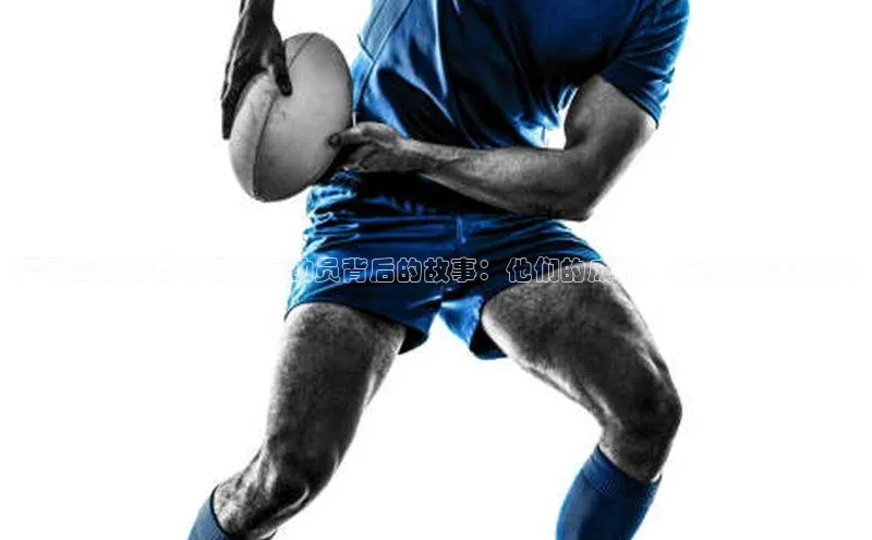 意昂4登录小度商城