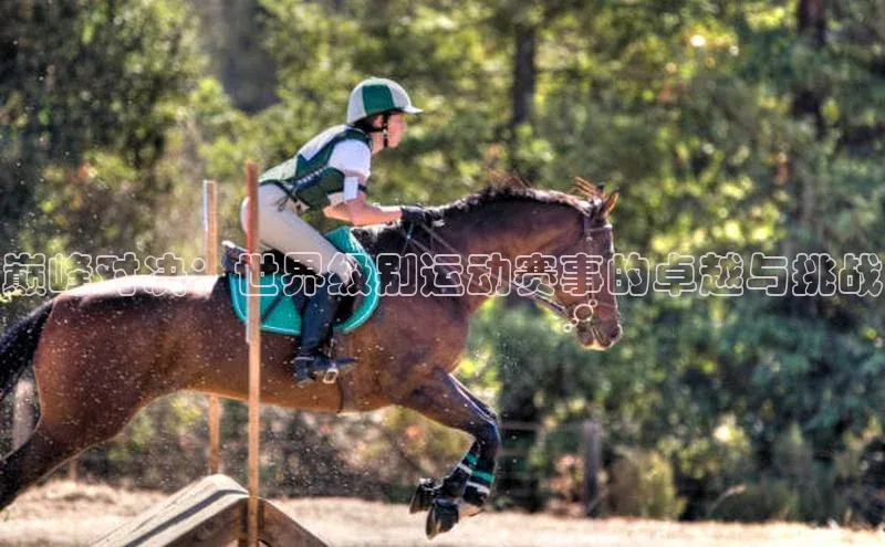 意昂体育平台注册