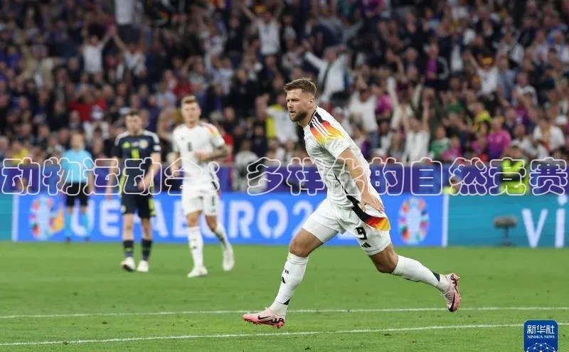 意昂体育平台注册