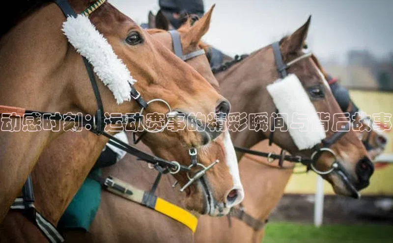 意昂官网登录入口